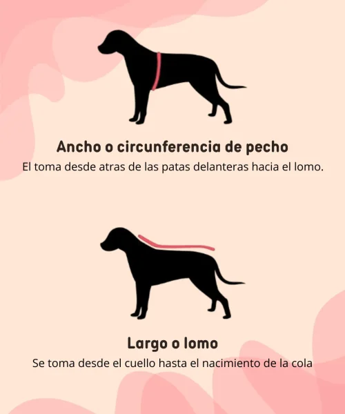 INFO ABUDA - ABRIGOS